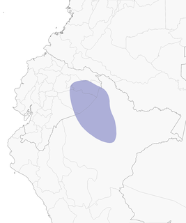 Distribution of the Brown-backed Antwren - Range Map