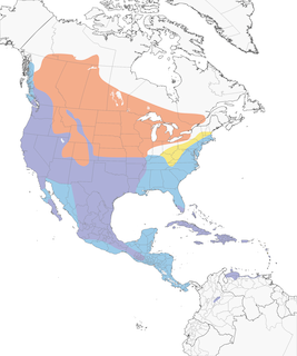 Distribution of the American Coot - Range Map