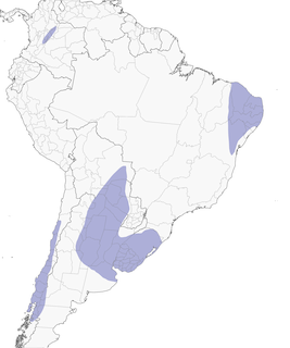 Distribution of the Spot-flanked Gallinule - Range Map