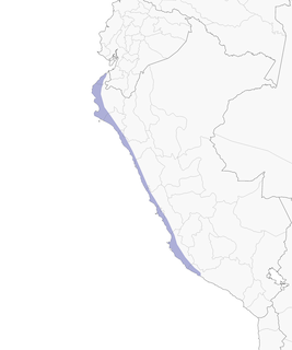 Distribution of the Coastal Miner - Range Map