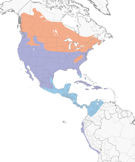 Distribution of the Killdeer - Range Map
