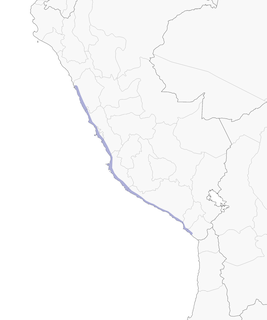 Distribution of the Surf Cinclodes - Range Map