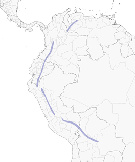 Distribution of the Pale-footed Swallow - Range Map
