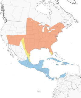 indigo bunting range map Distribution Indigo Bunting Passerina Cyanea Birds Of The World indigo bunting range map