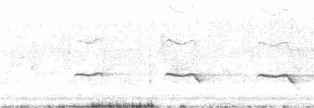 Кустарниковая кукушка [группа variolosus] - ML394311281