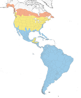 Distribution of the Greater Yellowlegs - Range Map