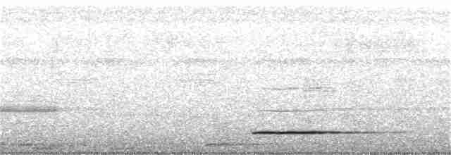 Thicket Tinamou - ML394434411