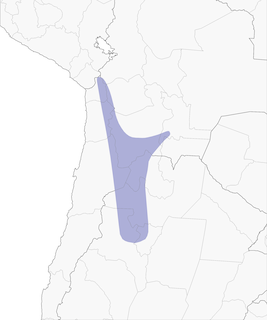 Distribution of the Red-backed Sierra Finch - Range Map