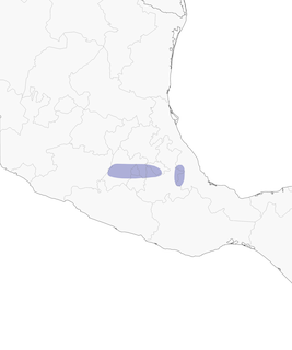 Distribution of the Strickland's Woodpecker - Range Map