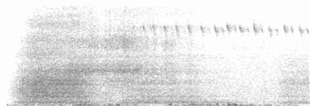 Светлокрылая трясохвостка - ML394449891