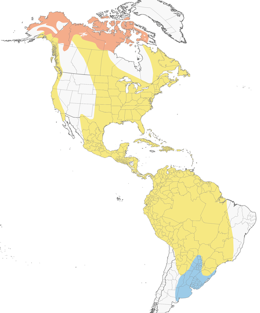 Distribution of the American Golden-Plover - American Golden-Plover - 