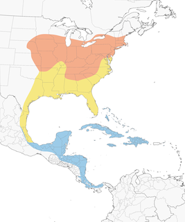 Distribution of the Blue-winged Warbler - Range Map