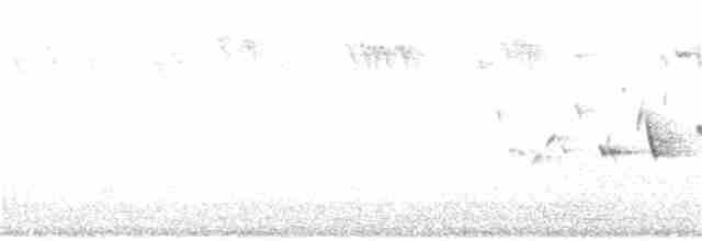 Troglodyte des forêts - ML394573241