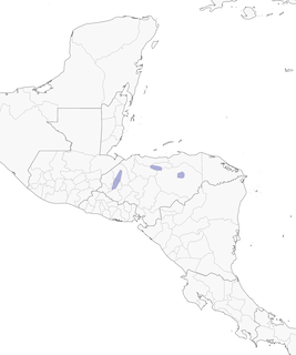 Distribution of the Honduran Emerald - Range Map