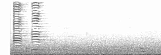 Cisne Trompetero - ML394579921