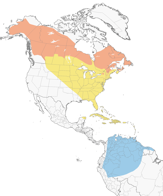 Distribution of the Blackpoll Warbler - Blackpoll Warbler - 