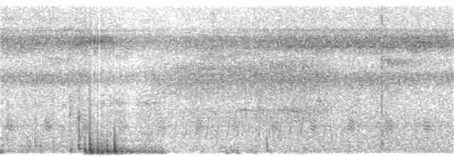 Прямоклювый колибри-отшельник - ML394586531