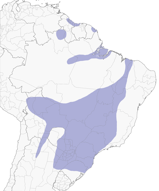 Map Of Where Toucans