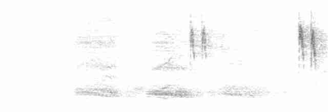 konipas bílý (ssp. personata) - ML394734981