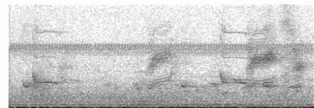 Монарх-довгохвіст темногрудий - ML394748041