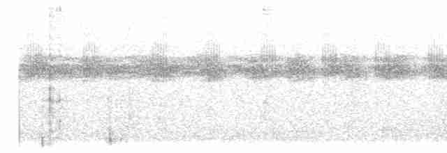 Streak-chested Antpitta (Pacific Slope) - ML394775911