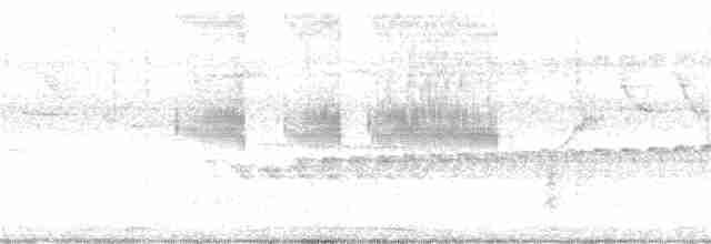 Small-billed Tinamou - ML394808251