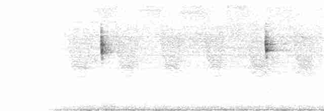 Flavescent Warbler - ML394808821