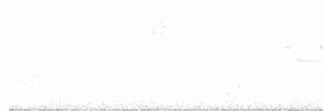 hvitnakkehonningeter - ML394902581