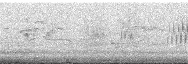 Малая воробьиная овсянка - ML394905291