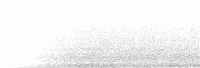 Lined Quail-Dove - ML395054971