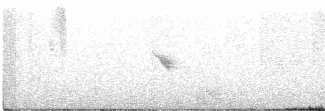 Blackpoll Warbler - ML395135051