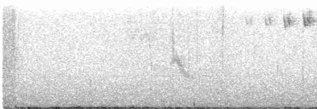 Blackpoll Warbler - ML395135111