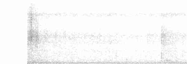 Todirostre de Snethlage (pallens) - ML395155521