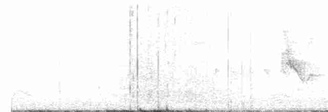 Белокрылая канделита - ML395226761