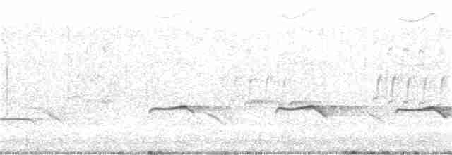 Кустарниковая кукушка [группа variolosus] - ML395258351