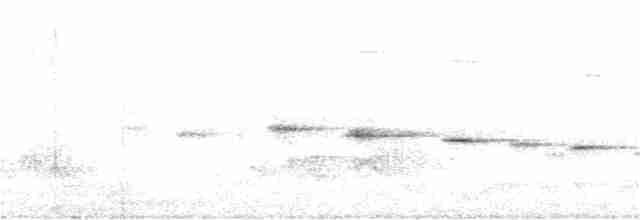 Віялохвістка північна (підвид isura) - ML395259781