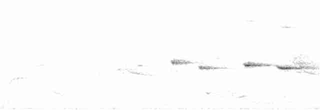 Віялохвістка північна (підвид isura) - ML395259791