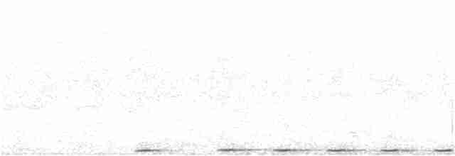 Фазаний кукаль [группа phasianinus] - ML395260361