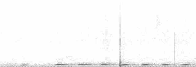 Pheasant Coucal (Pheasant) - ML395262471