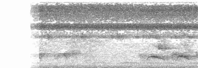Turuncu Göğüslü Cennet Yalıçapkını - ML395275981