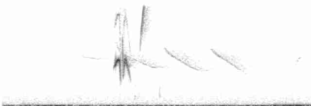 Gray-hooded Sierra Finch (gayi/caniceps) - ML395381101