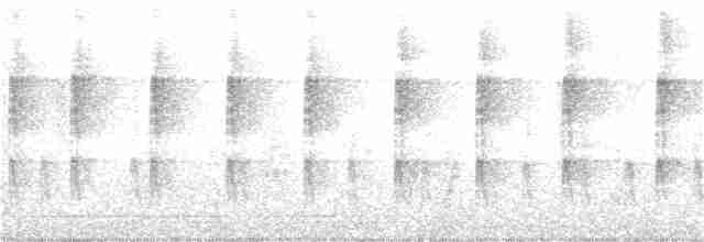 Белоухая сибия - ML395613941