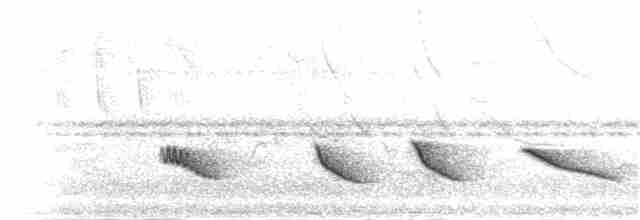 Зернолуск смугастоволий - ML395654301