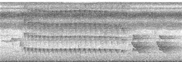 Тиран-інка буроголовий - ML395707301