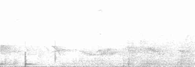 Чернобрюхая желна - ML39580171