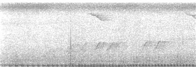 Malabar Gray Hornbill - ML395863121