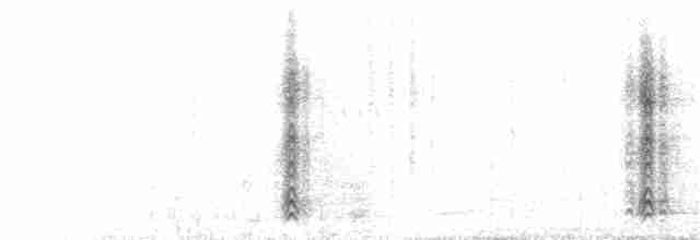 White-rumped Babbler - ML395885281