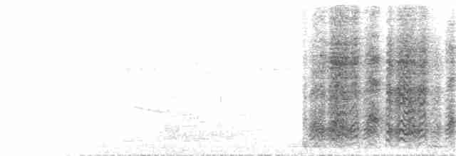 Cratérope à croupion blanc - ML395885621
