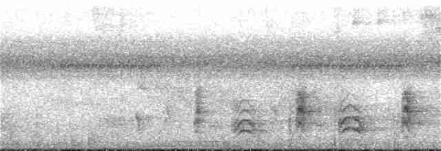 Kara Giysili Karıncakuşu - ML395891581