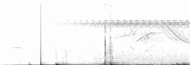 Striped Cuckoo - ML395904001